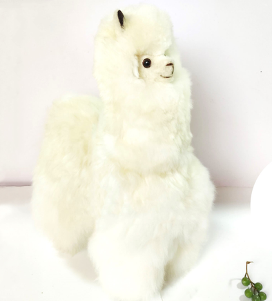 WHITE GIANT ALPACA - Alpaca Retail