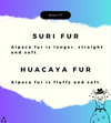 PREMIUM Luxury Baby Alpaca Suri Fur / Huacaya Fur Rug Art & Deco - Black - Alpaca Retail