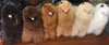 13 IN 11 IN 9IN Handmade Alpaca Stuffed Animal Plush Alpaca  Fur - Alpaca Retail